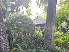 -大妙火锅·非物质文化遗产(东湖公园店)