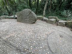 -上海佘山国家森林公园天马山园