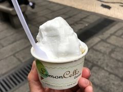 -柠檬车露(卖草地店)