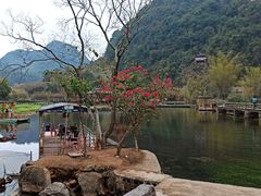 -靖西鹅泉风景区