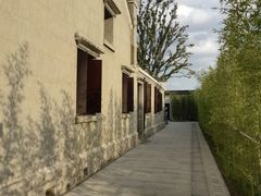 -上海滨江森林公园