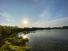 -东郊湿地公园