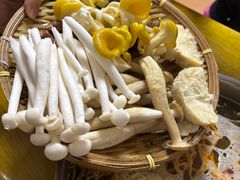 -菌极鲜野生菌火锅店(阳明祠店)