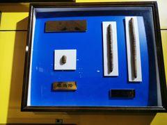 -上海昆虫博物馆