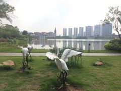 -美的鹭湖森林度假区