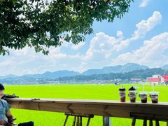 -红棉中餐厅·广州海航威斯汀酒店