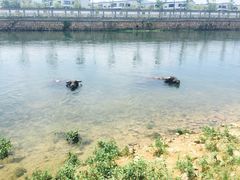 -杭州双溪漂流景区