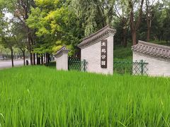 -北坞公园