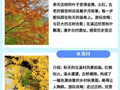 -四明山国家森林公园