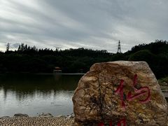-深圳仙湖植物园