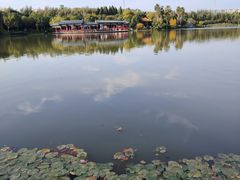 -洛龙公园