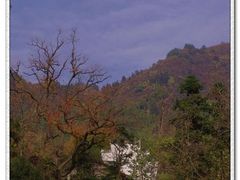 -塔川景区