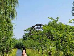 -溱湖国家湿地公园