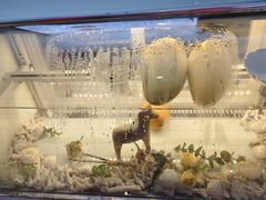 -七七家的糖水店(南湾街1号店)