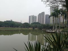 -四海公园(南山区)