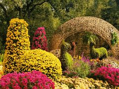 -上海共青森林公园