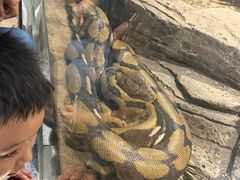 -成都动物园