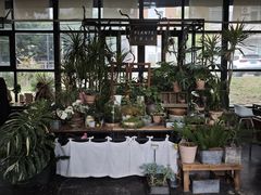 -北马山庄植趣咖啡
