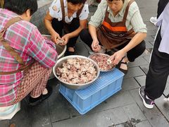 -三中高皇羊肉馆