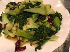 -文三里屯面馆(三里屯店)