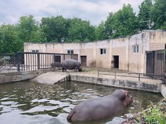 -合肥野生动物园