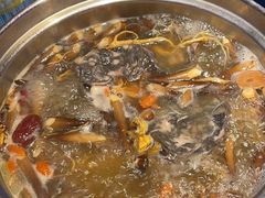 -千岛蚝高压锅生蚝·人参火锅(白云万达店)