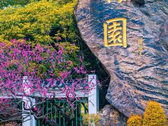 -无锡梅园公园