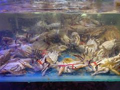 -四海蒸鲜蒸汽海鲜自助(北戴河店)