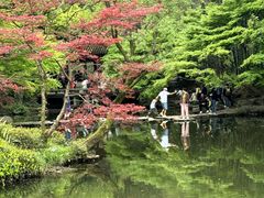 -杭州植物园