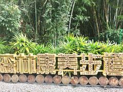 -广州市帽峰山景区
