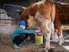 -甲乙果 美术书法(通州校区)