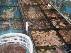 -小铜锣湾海鲜家常菜馆(河西店)