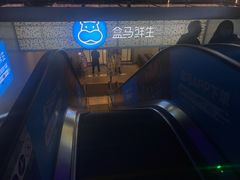 -盒马鲜生(双清路店)