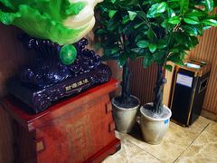 -岚县土豆宴(平阳路店)