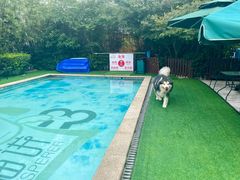 -汪说喵讲宠物乐园宠物酒店(红星美凯龙店)