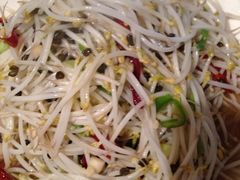 特色炝绿豆芽-萧县全羊馆