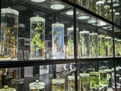 -广东中医药博物馆