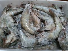 -铭记蛙小仙·活蛙畅享(CBD万达广场店)