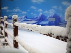 -世界之窗阿尔卑斯冰雪世界
