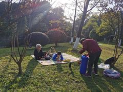 -铁山坪森林公园