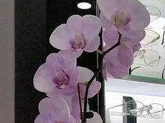 -横岗眼镜城