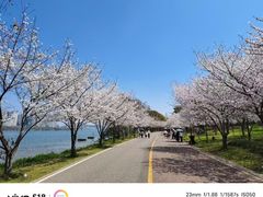 -团城山公园