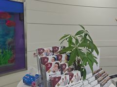 -雅悦齿科(顾村公园店)