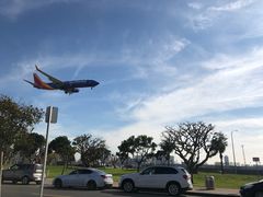 -In-N-Out Burger(LAX)