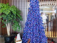 -南京禄口机场雅高铂尔曼大酒店