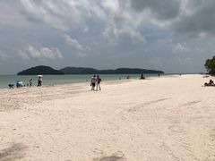 -真浪花园海鲜餐馆
