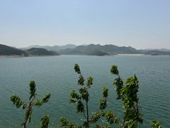 -望湖烤鱼