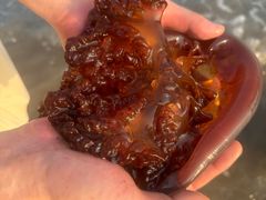 -奉贤海滩