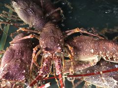 -欧记·龙城港(欣都店)