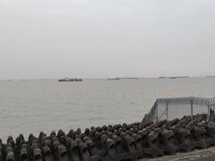 -上海滨江森林公园